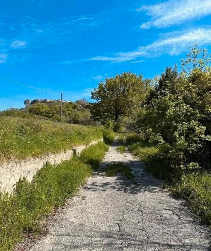 terreno agricolo - Vista 4