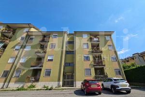 Appartamento Rovito [Cod. rif 3303683VRG] (Pianett