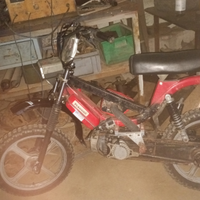 Piaggio bravo