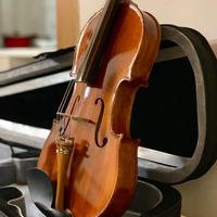 Violino 4/4 assemblato e ottimizzato da Liutaio