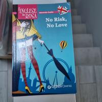 libro per  imparare l'inglese . No risk, no love