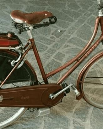 Bicicletta Eusebi Mosquito