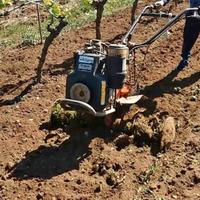 Motozappa Lombardini Pasbo diesel 10 CV