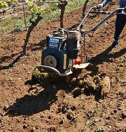 Motozappa Lombardini Pasbo diesel 10 CV