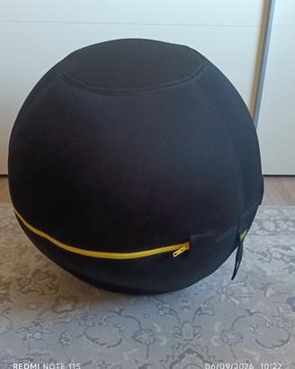 palla fitness Technogym 