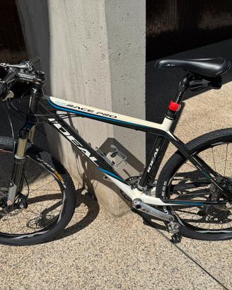 Mountain bike carbonio