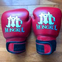 Guantoni muay thai mongkol