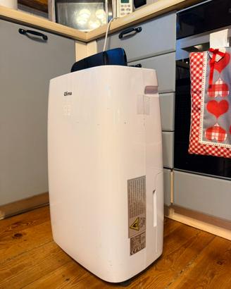 Deumidificatore purificatore aria Qlima D603P
