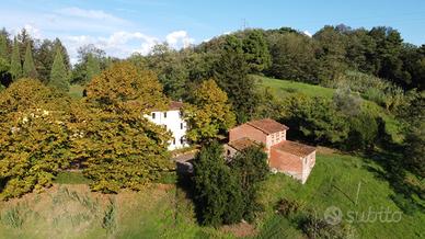 Azienda Agricola a Capannori