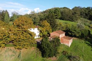 Azienda Agricola a Capannori