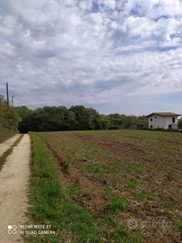 Terreno agricolo via cesiano cave