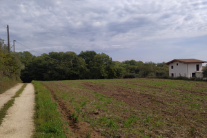 Terreno agricolo via cesiano cave