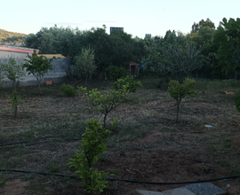 Terreno agricolo
