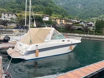 Sea ray 290