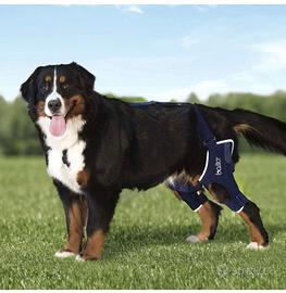 Tutori per ginocchia cane - Balto BT jump plus