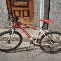 bicicletta mtb Lombardo 270 26
