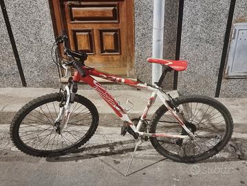 bicicletta mtb Lombardo 270 26