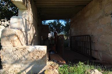 Casa colonica con ampio terreno vicino al mare