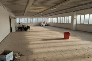 Capannone di recente costruzione