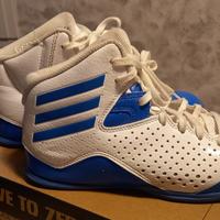 Scarpe basket