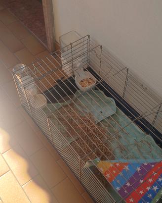 gabbia per conigli e cavie 