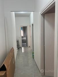 Stanza doppia in un appartamento 2 locale