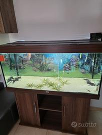 acquario juwel rio 350