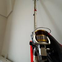 Canna bolognese Shimano