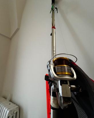 Canna bolognese Shimano