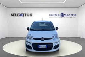 FIAT Panda 3ª serie - Panda 1.2 Easy