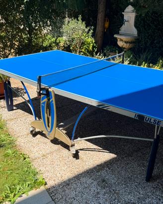 Tavolo ping pong