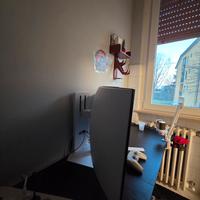 monitor lg oled 39 GX90SA