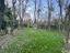 Immagine 28