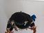 Immagine 4