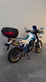 Suzuki dr 600 Djebel