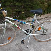 MTB tipo  26 ..leggere descrizione 