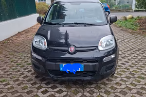 fiat panda