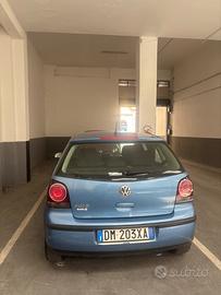 Polo azzurra