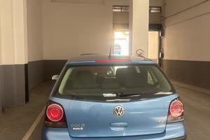 Polo azzurra