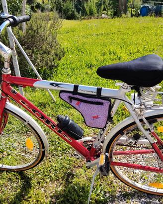 BICICLETTA DA UOMO