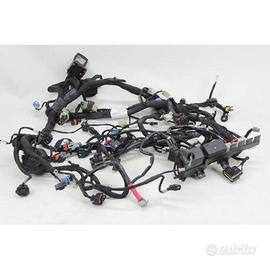 CABLAGGIO DUCATI MULTISTRADA 1260 2018 2020