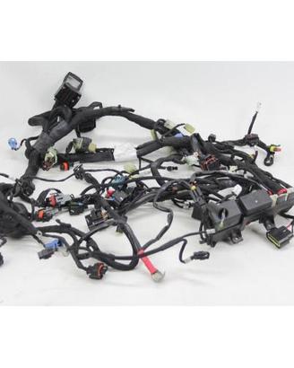 CABLAGGIO DUCATI MULTISTRADA 1260 2018 2020