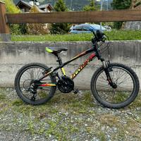 Mountain bike Olimpia 20”