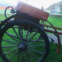 Calesse cavallo