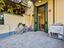 Immagine 20
