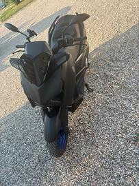 Xmax 300