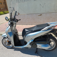 Sh 300 2019