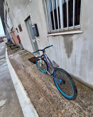 Dirt jump ns bike