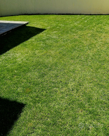 Giardiniere buongiorno