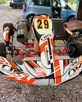 Go Kart Ok1